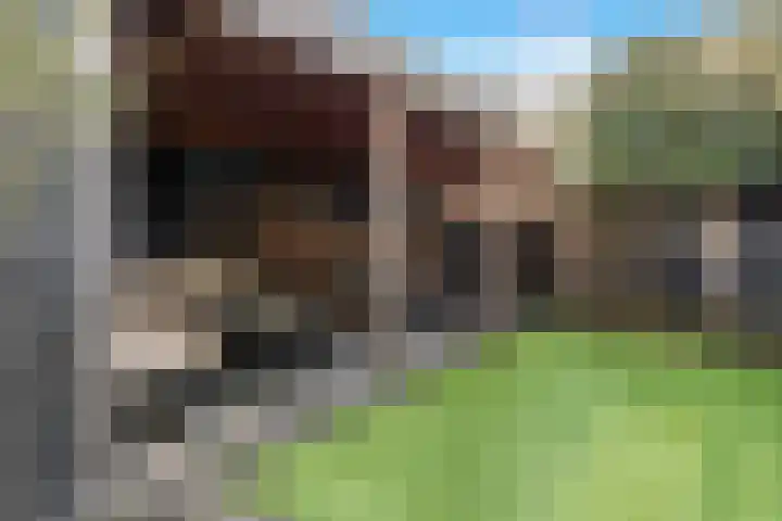C.H. Moensstraat 8 Beverwijk thumbnail 31