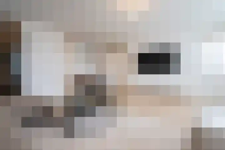 C.H. Moensstraat 9 Beverwijk thumbnail 8