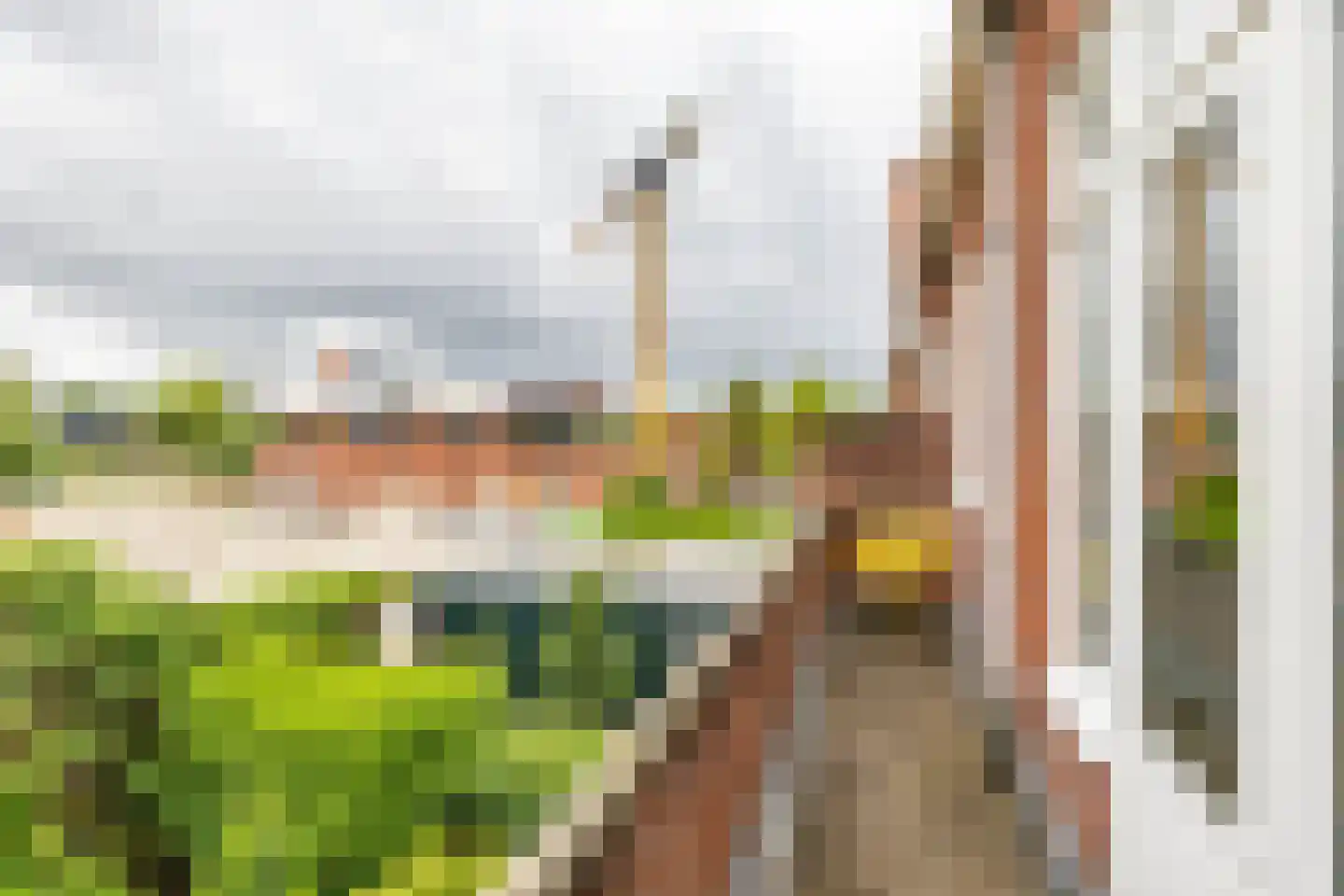 C.H. Petersstraat 15 a Groningen thumbnail 27