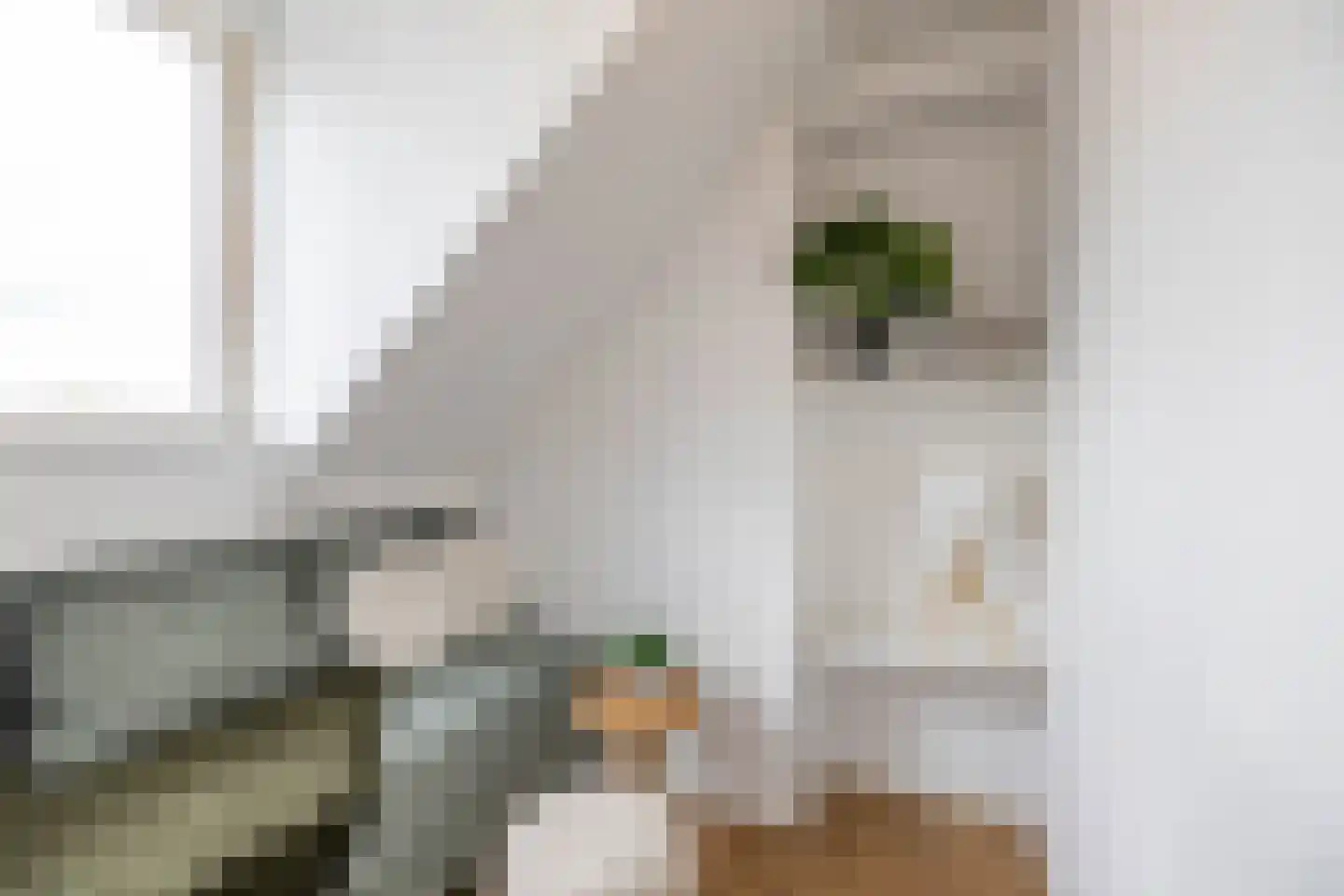 C.H. Petersstraat 15 a Groningen thumbnail 34