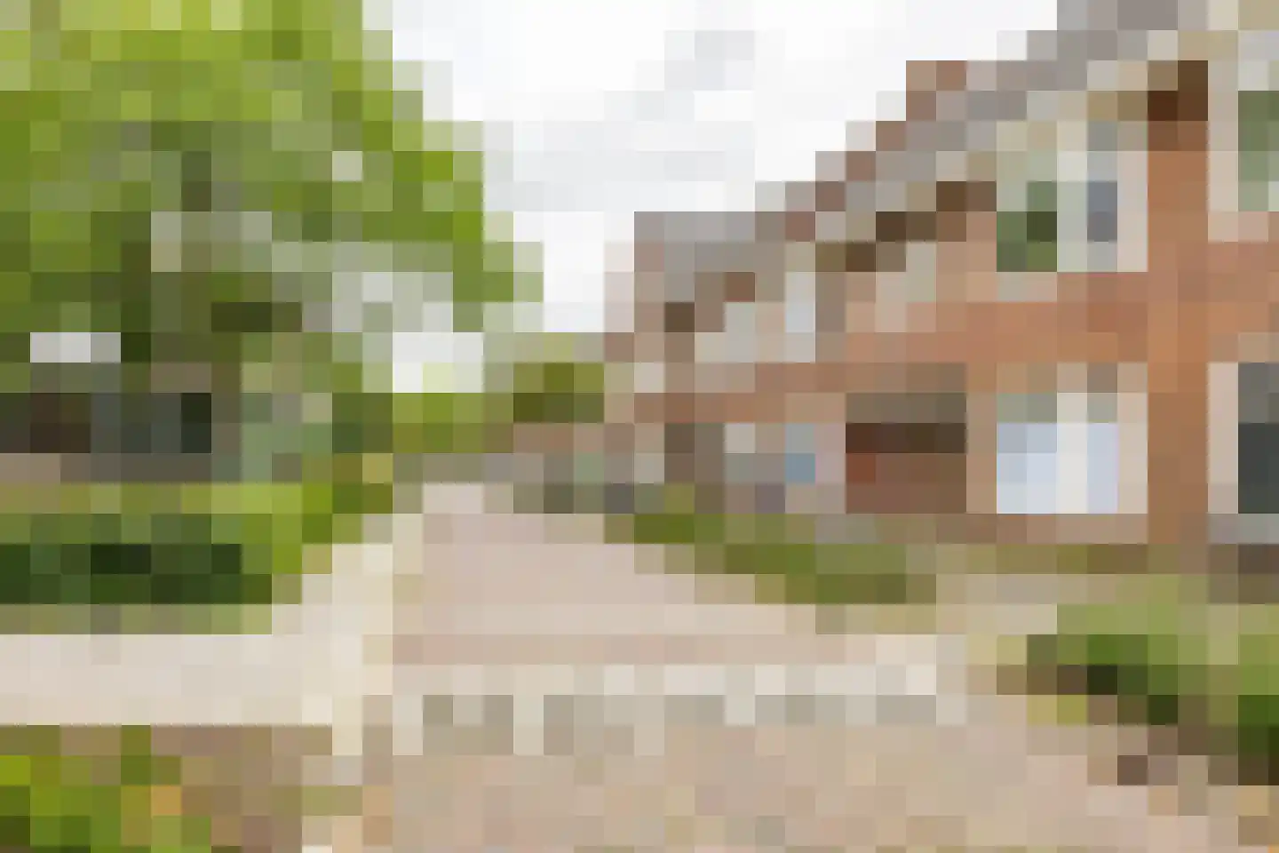 C.H. Petersstraat 15 a Groningen thumbnail 7