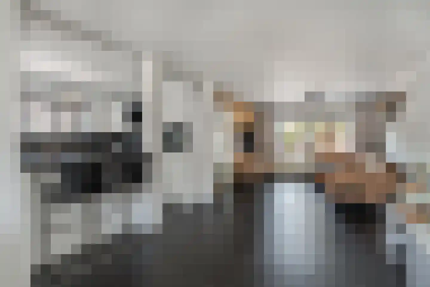C.H. van Maanenstraat 2 Rossum thumbnail 10
