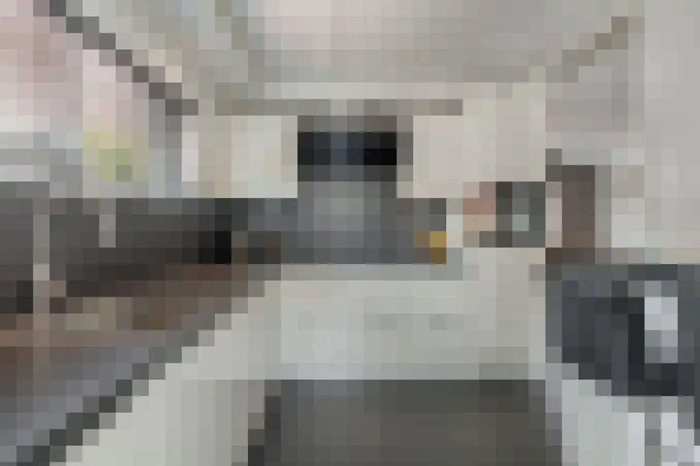 C.H. van Maanenstraat 2 Rossum thumbnail 13