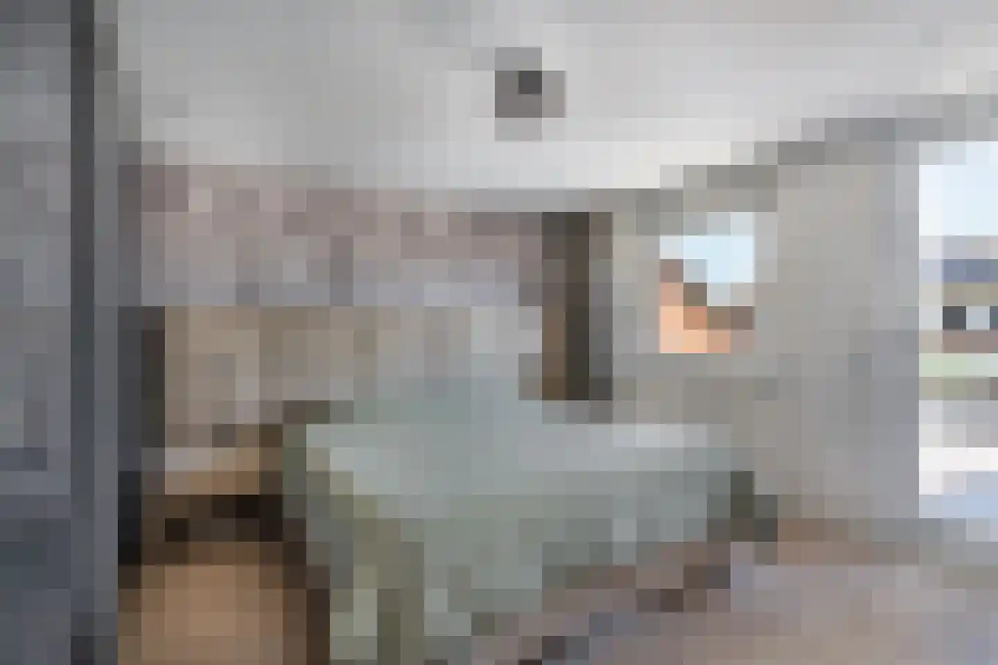 C.H. van Maanenstraat 2 Rossum thumbnail 16
