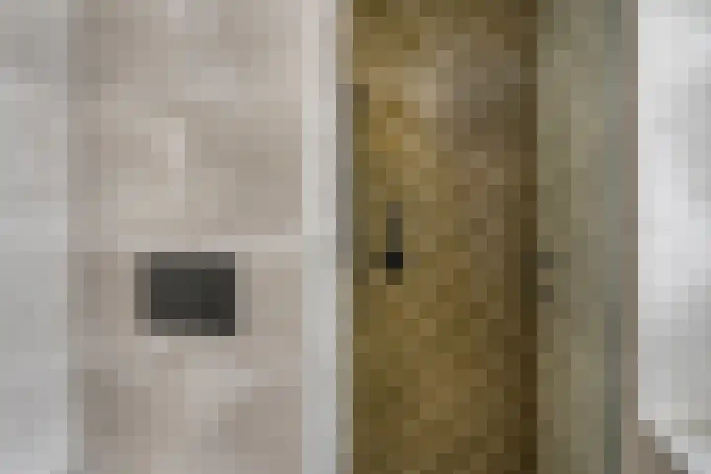 C.H. van Maanenstraat 2 Rossum thumbnail 20