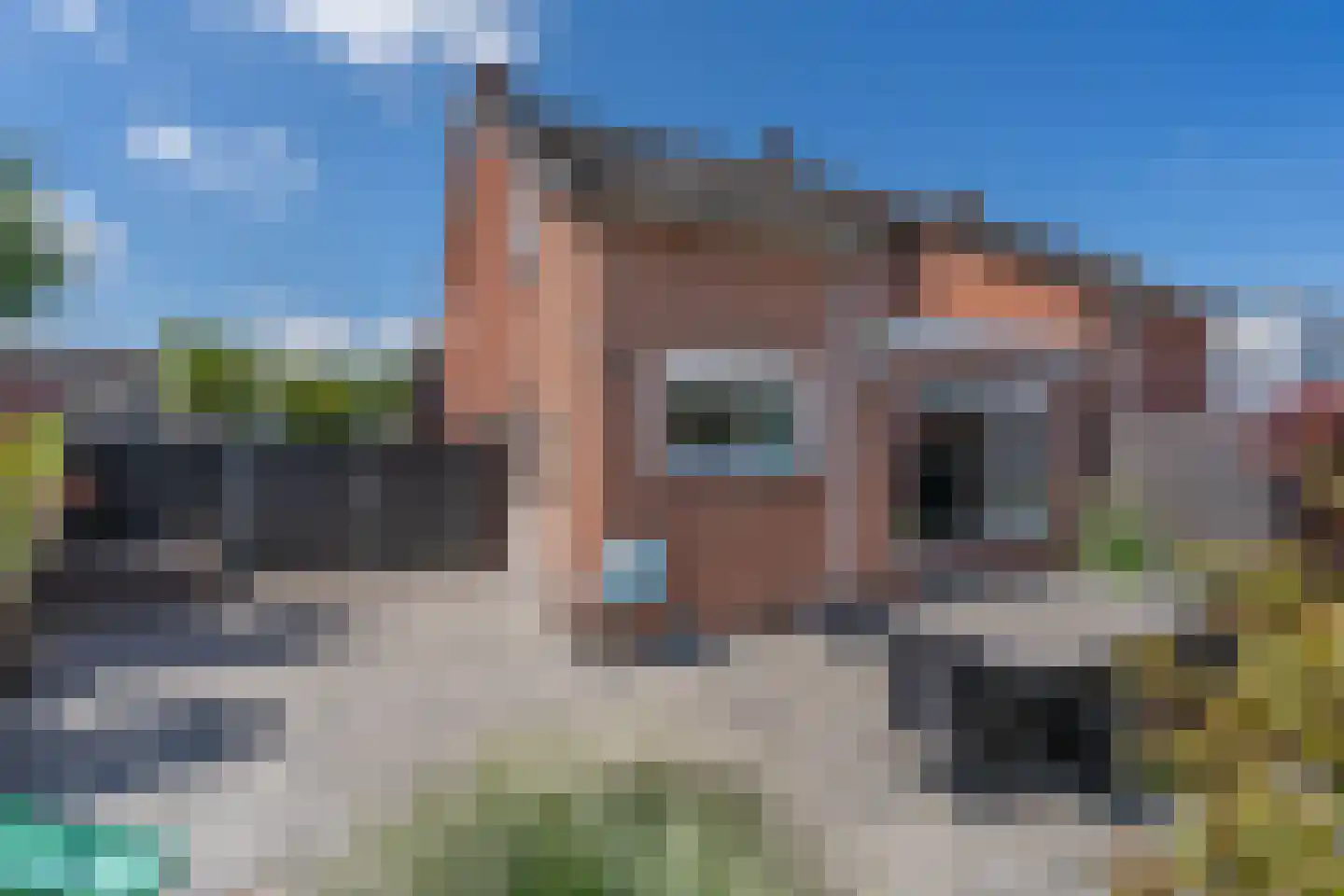 C.H. van Maanenstraat 2 Rossum thumbnail 26