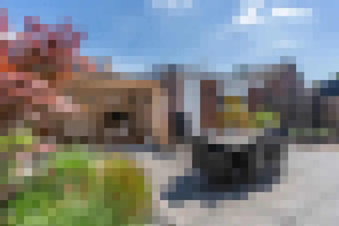 C.H. van Maanenstraat 2 Rossum thumbnail 28