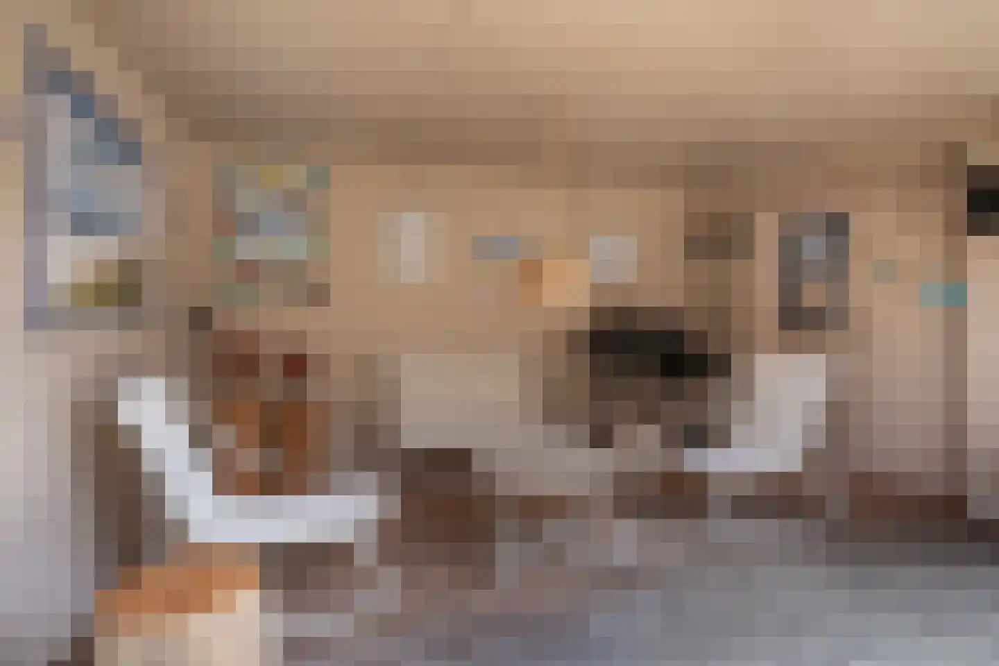 C.H. van Maanenstraat 2 Rossum thumbnail 30