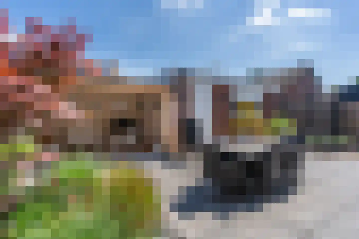 C.H. van Maanenstraat 2 Rossum thumbnail 4