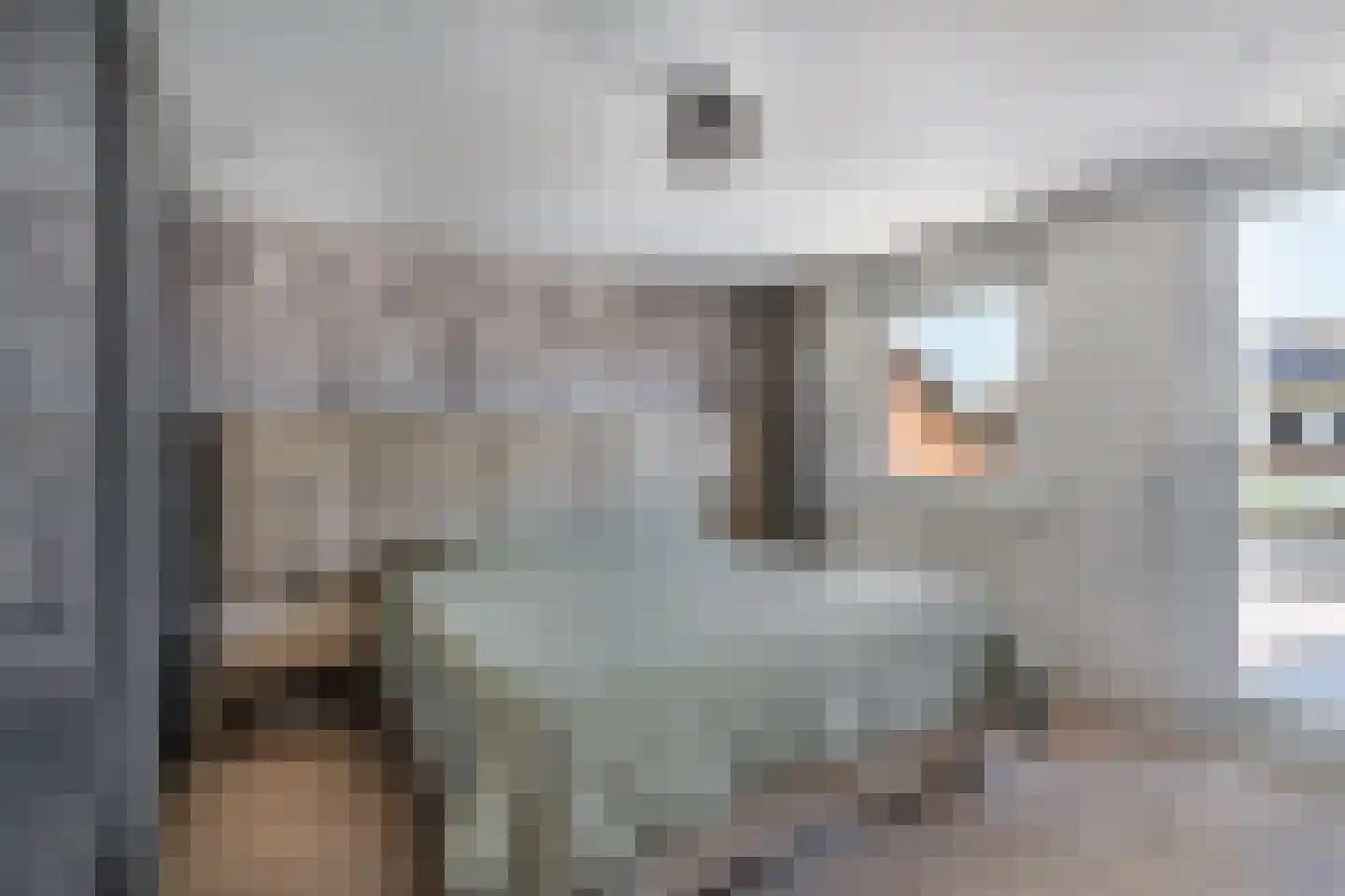 C.H. van Maanenstraat 2 Rossum thumbnail 5