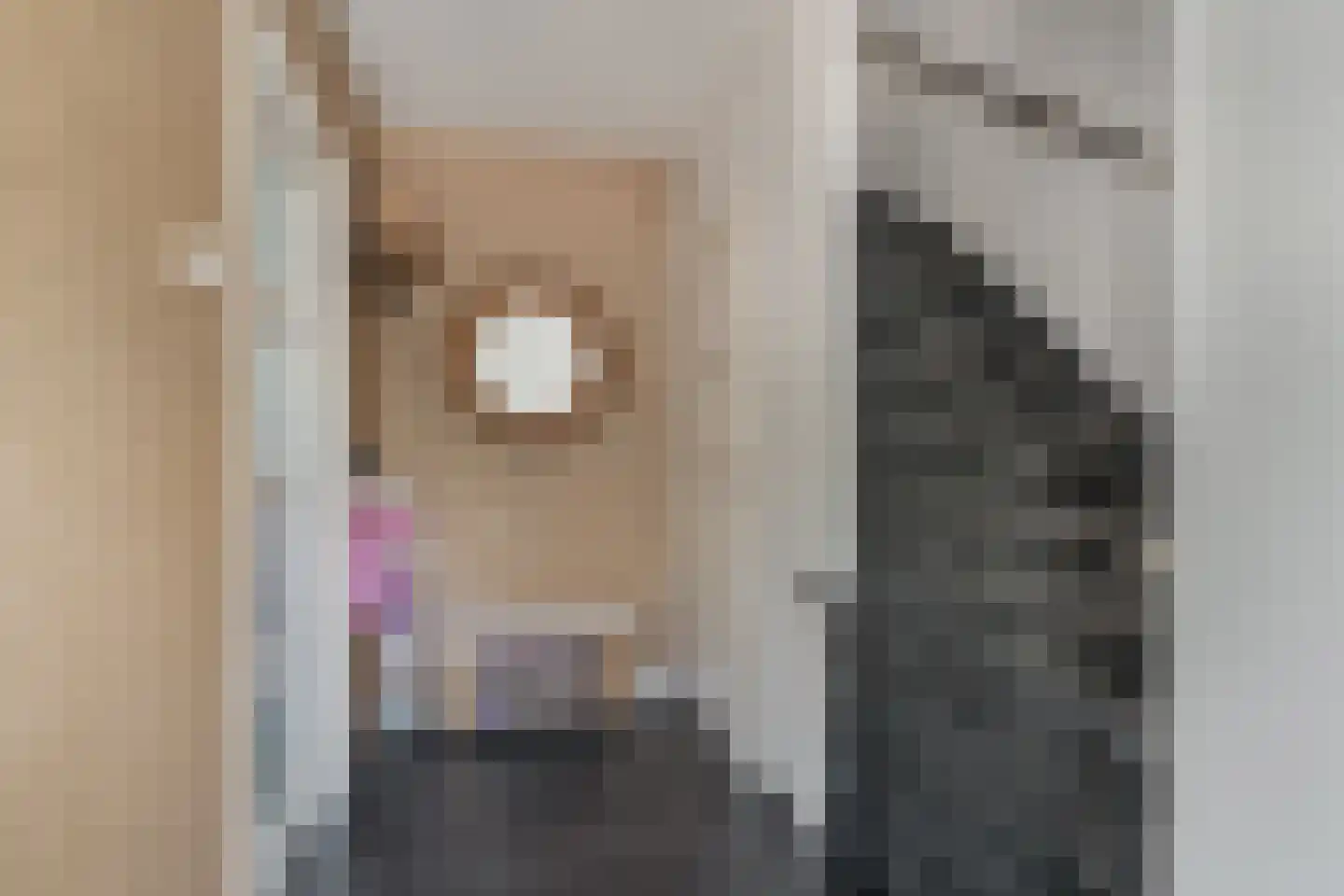 C.H. van Maanenstraat 2 Rossum thumbnail 6