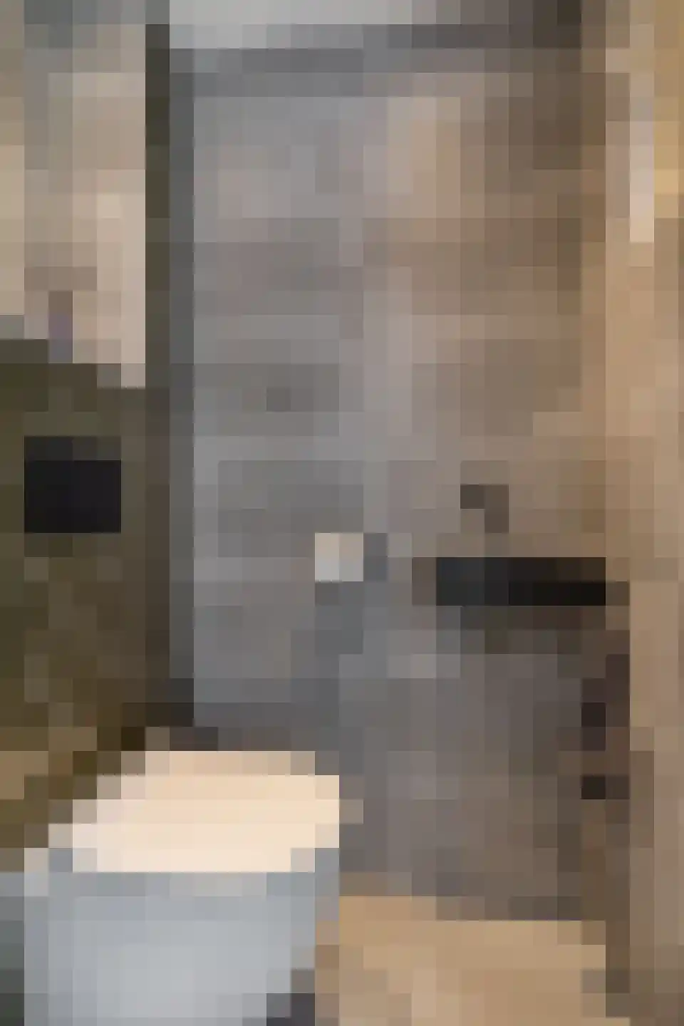 C.H. van Maanenstraat 2 Rossum thumbnail 7