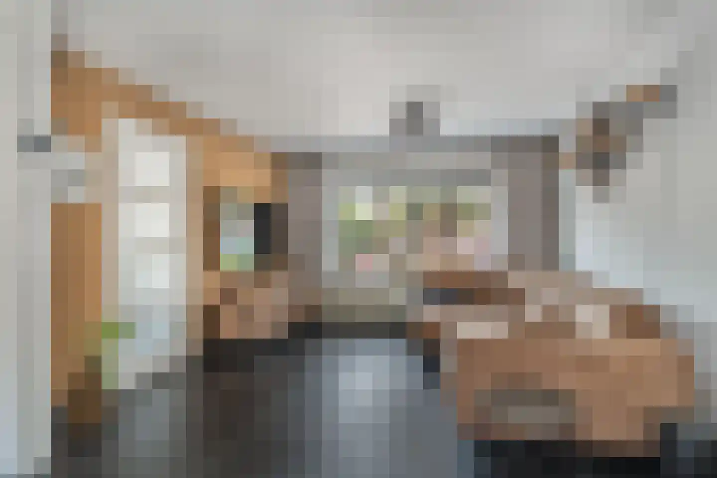 C.H. van Maanenstraat 2 Rossum thumbnail 9
