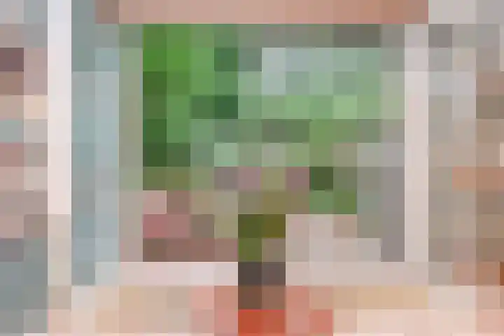 C. Huygenslaan 20 Waddinxveen thumbnail 10