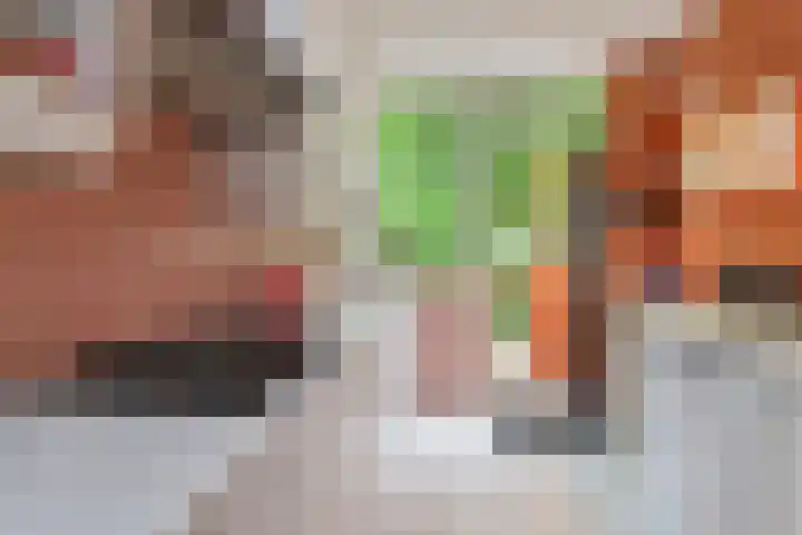 C. Huygenslaan 20 Waddinxveen thumbnail 15