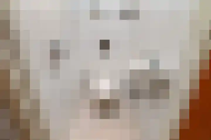 C. Huygenslaan 20 Waddinxveen thumbnail 17