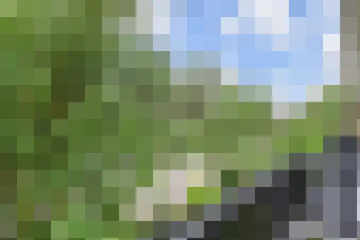 C. Huygenslaan 20 Waddinxveen thumbnail 23