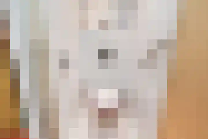 C. Huygenslaan 20 Waddinxveen thumbnail 27