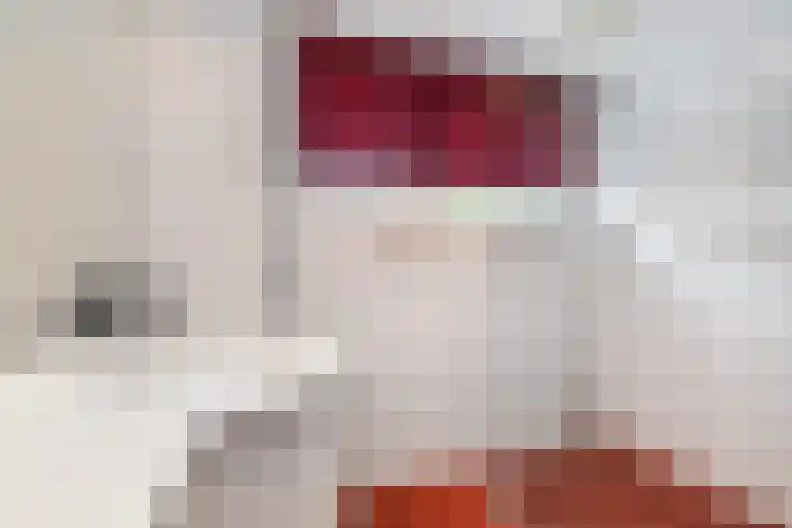 C. Huygenslaan 20 Waddinxveen thumbnail 28