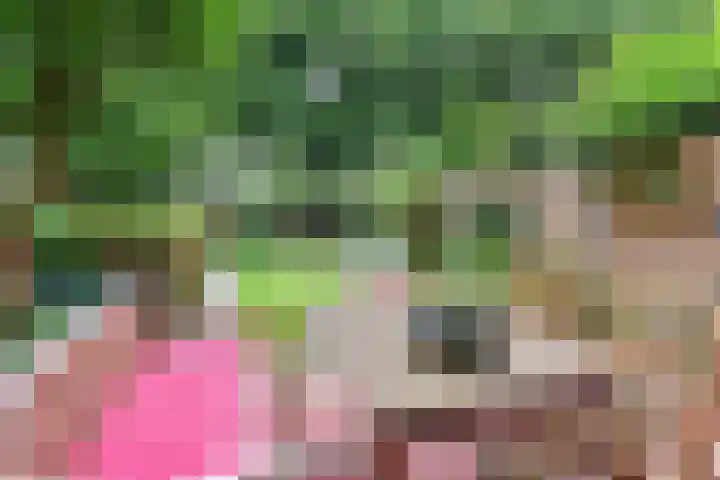 C. Huygenslaan 20 Waddinxveen thumbnail 35