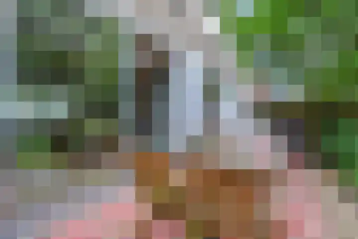 C. Huygenslaan 20 Waddinxveen thumbnail 38