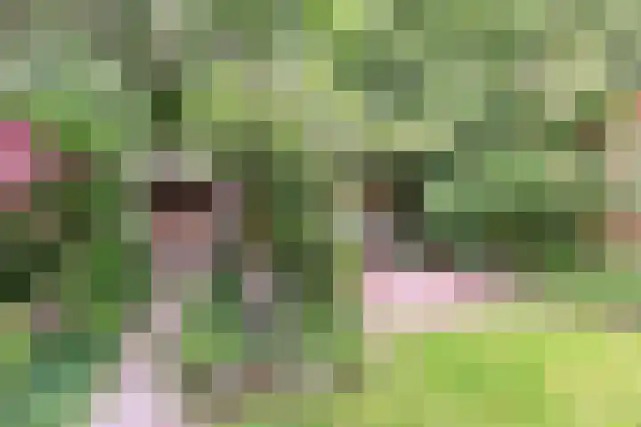 C. Huygenslaan 20 Waddinxveen thumbnail 39