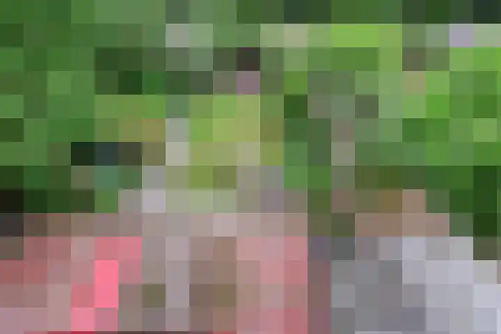 C. Huygenslaan 20 Waddinxveen thumbnail 4