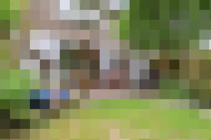 C. Huygenslaan 20 Waddinxveen thumbnail 41