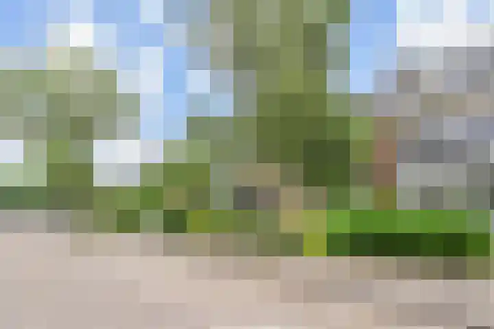 C. Huygenslaan 20 Waddinxveen thumbnail 46