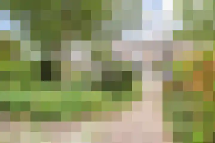 C. Huygenslaan 20 Waddinxveen thumbnail 47