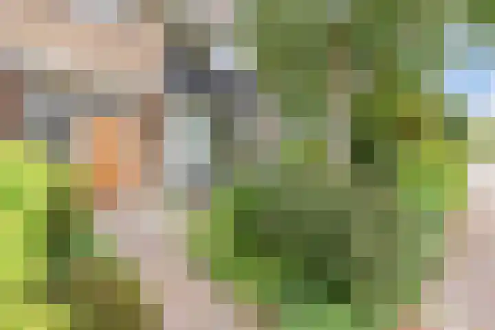 C. Huygenslaan 20 Waddinxveen thumbnail 5