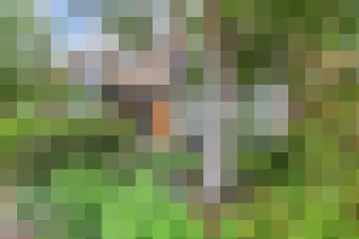 C. Huygenslaan 20 Waddinxveen thumbnail 54