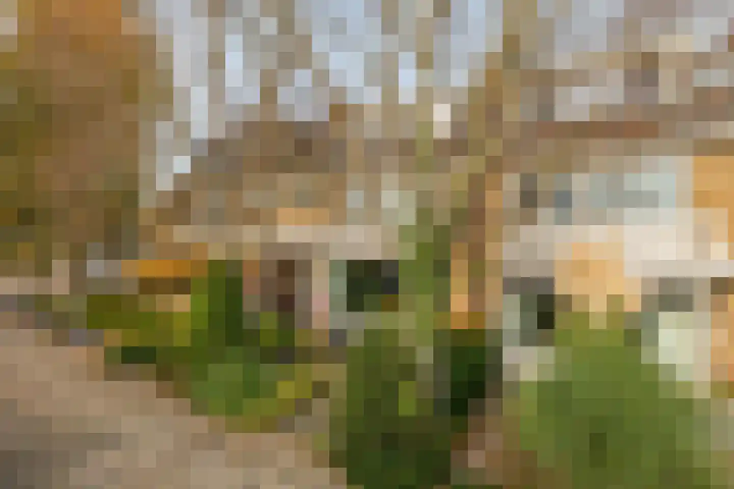 C. Huygenslaan 8 Waddinxveen thumbnail 6