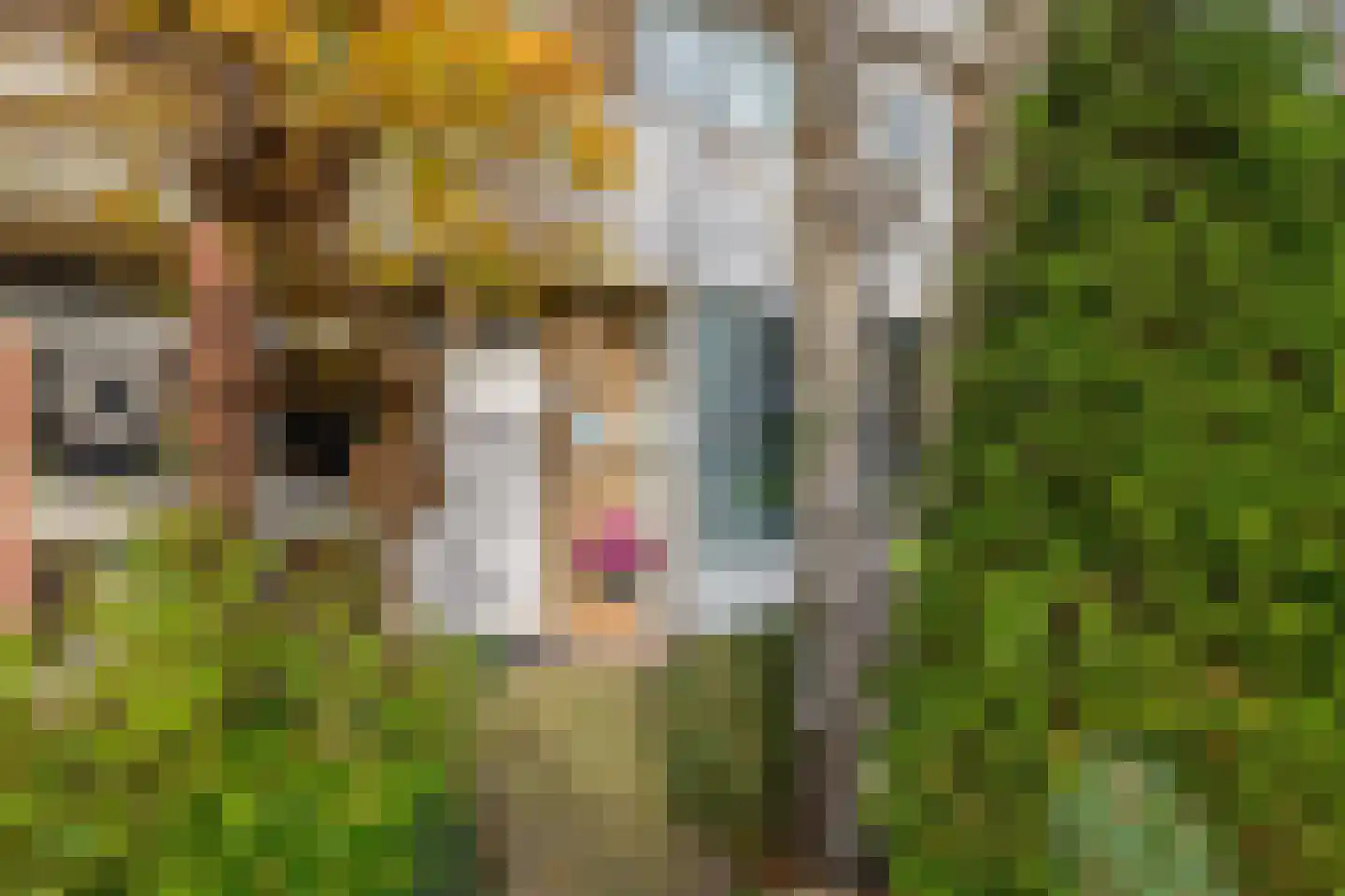 C. Huygenslaan 8 Waddinxveen thumbnail 7
