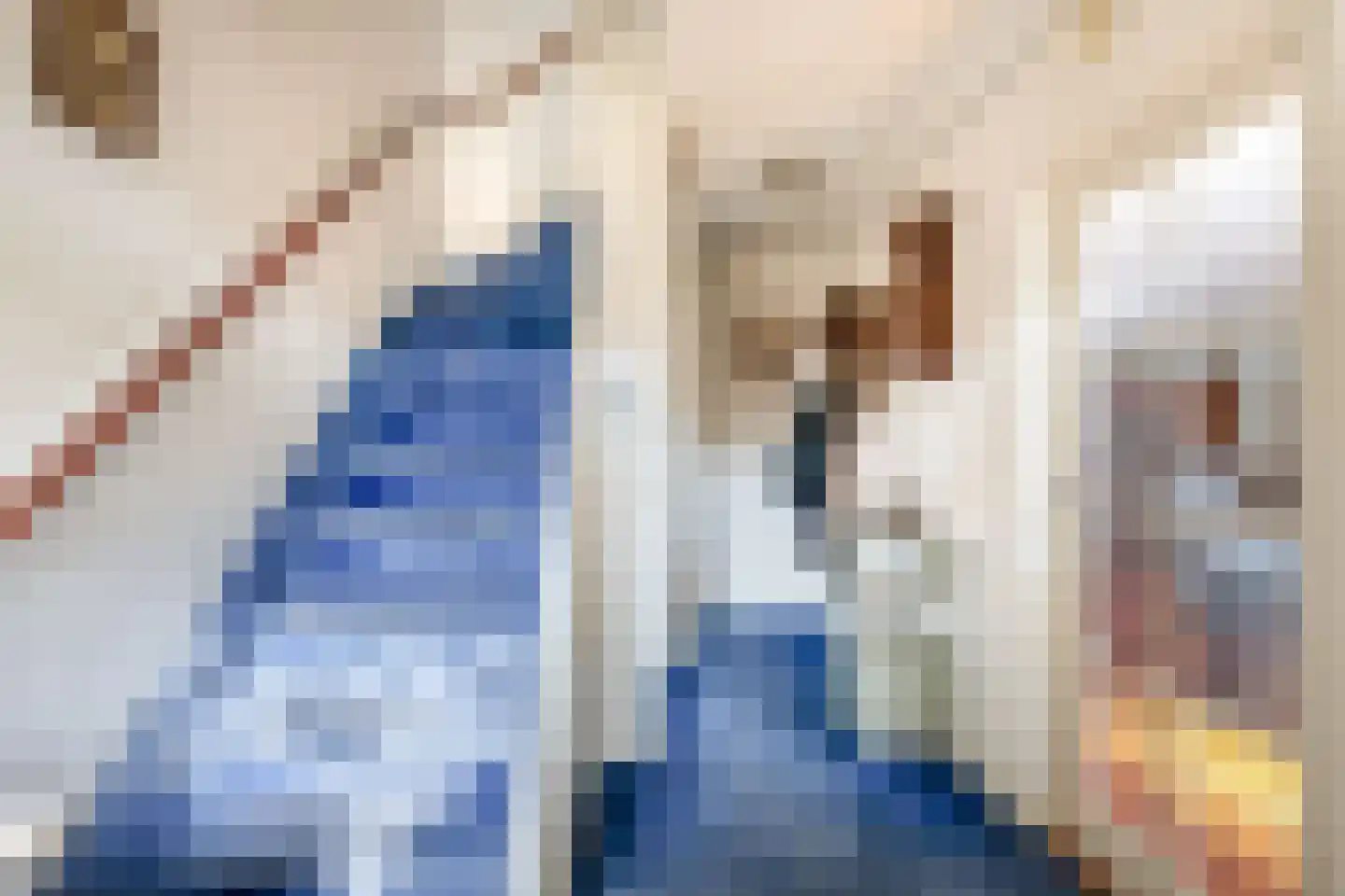 C. Huygenslaan 8 Waddinxveen thumbnail 8