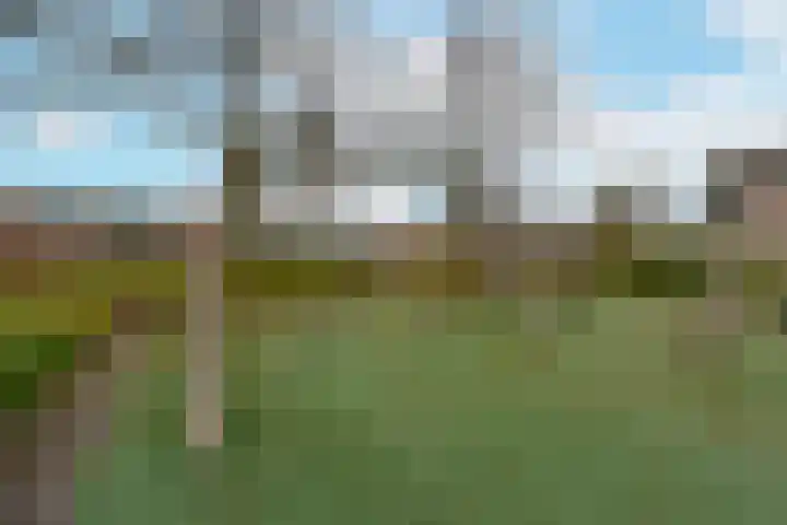 C.J.A. Koelemanstraat 30 Ter Aar thumbnail 23