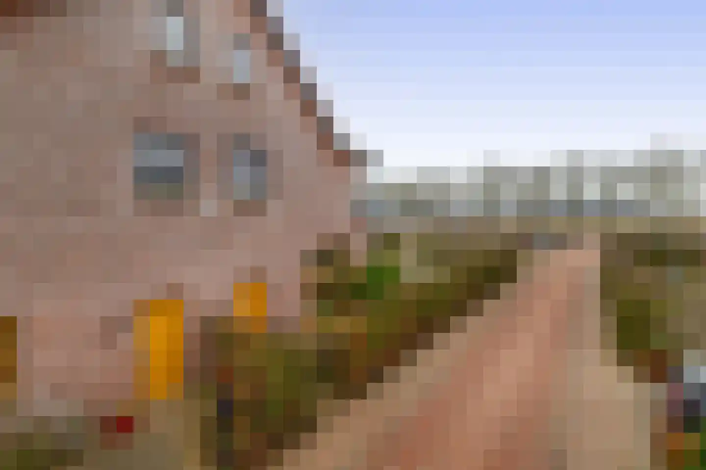 C.J. Blaauwstraat 10 Wageningen thumbnail 4