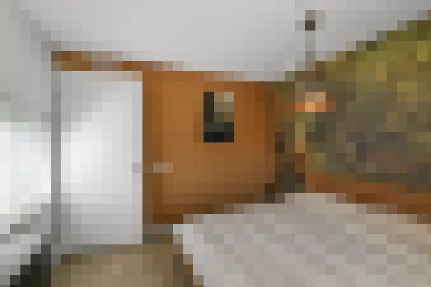 C.J. Blaauwstraat 14 Assendelft thumbnail 16