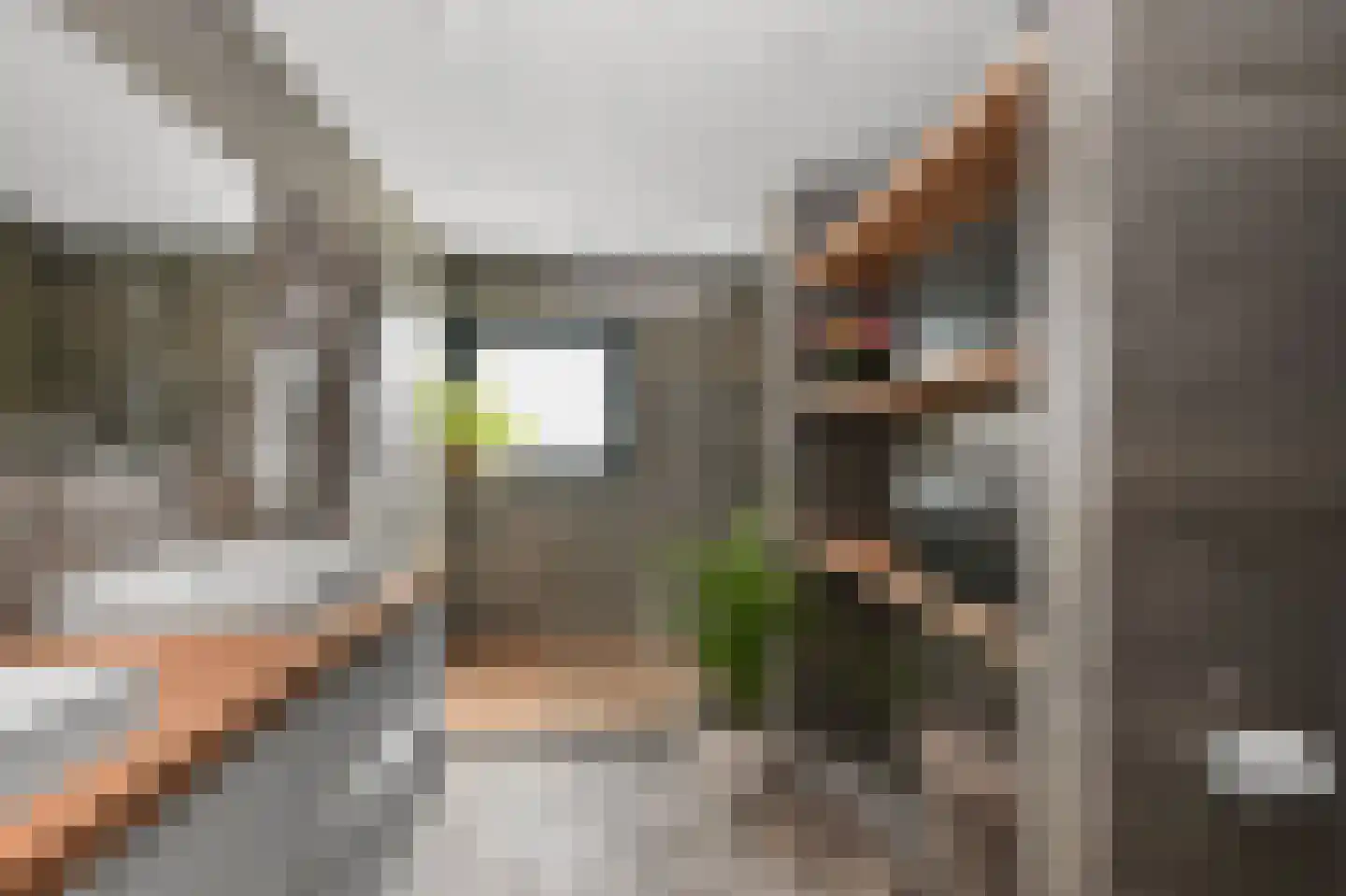C.J. Blaauwstraat 14 Assendelft thumbnail 23