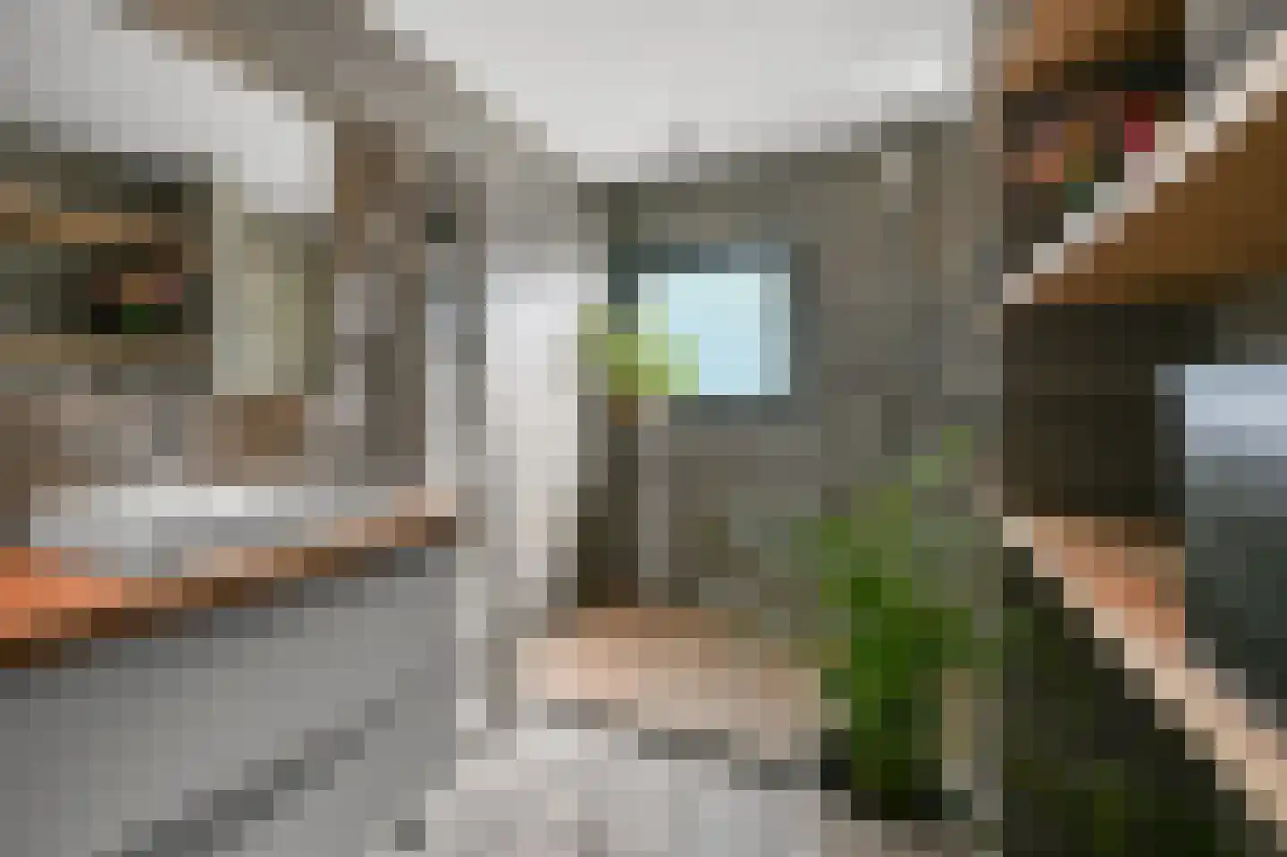 C.J. Blaauwstraat 14 Assendelft thumbnail 24