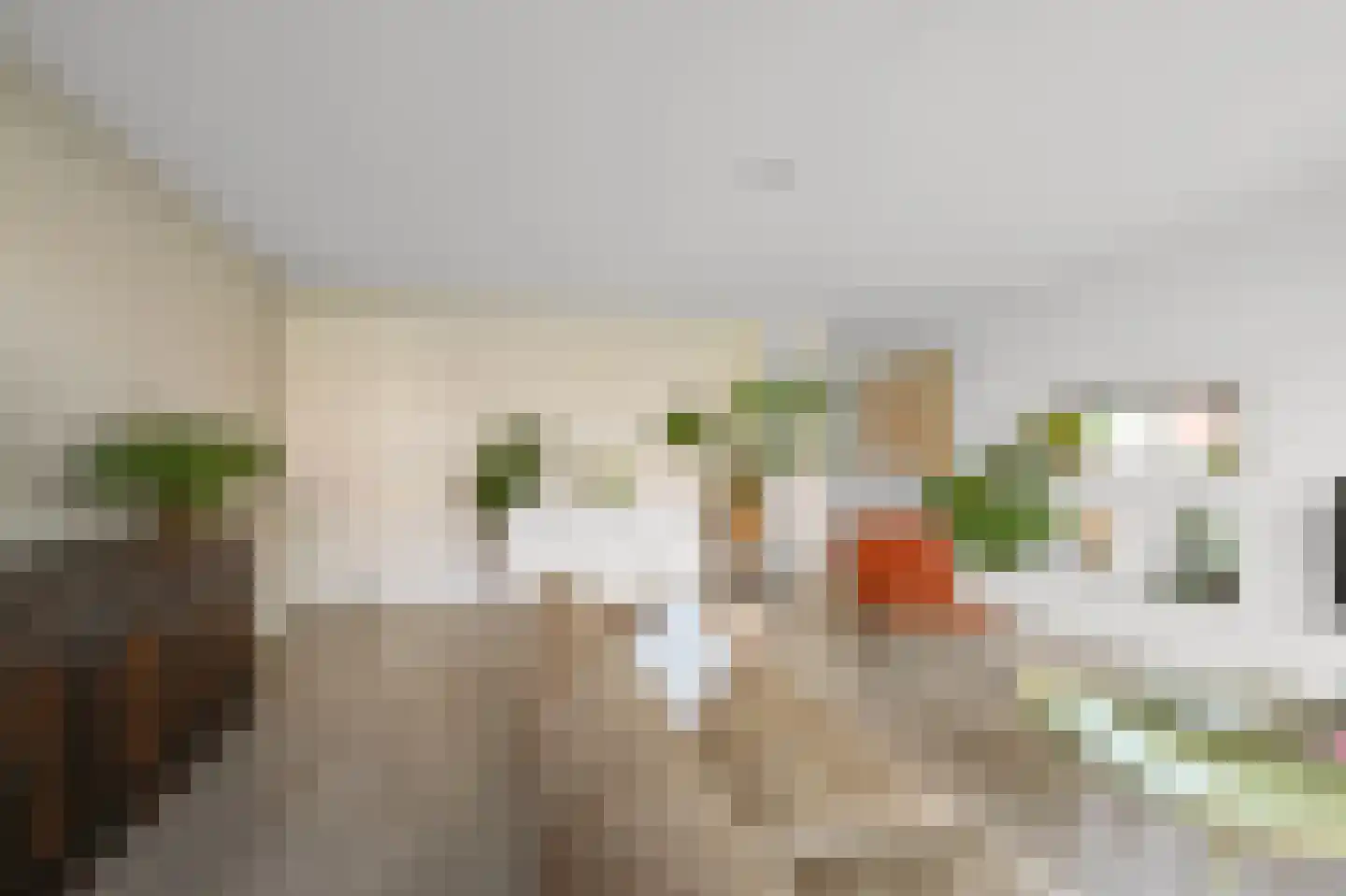 C.J. Blaauwstraat 14 Assendelft thumbnail 6
