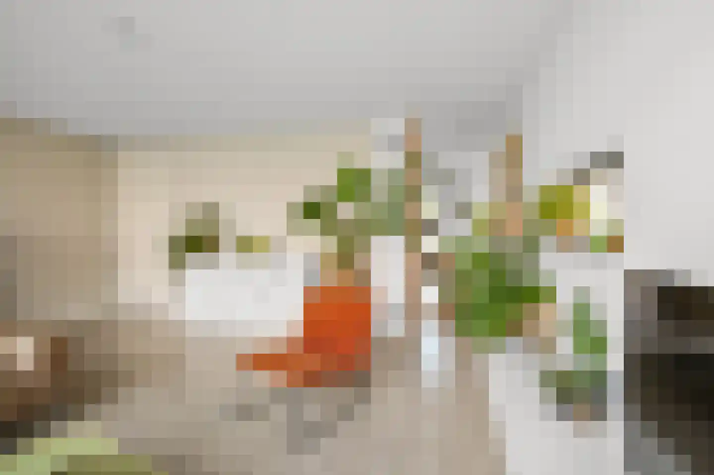 C.J. Blaauwstraat 14 Assendelft thumbnail 7