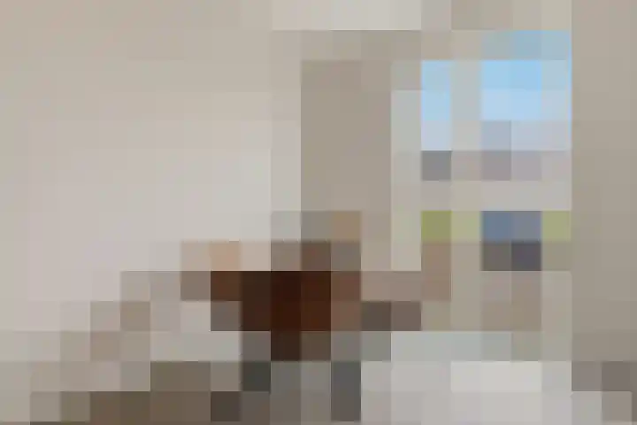 C.J. Blaauwstraat 22 Assendelft thumbnail 7