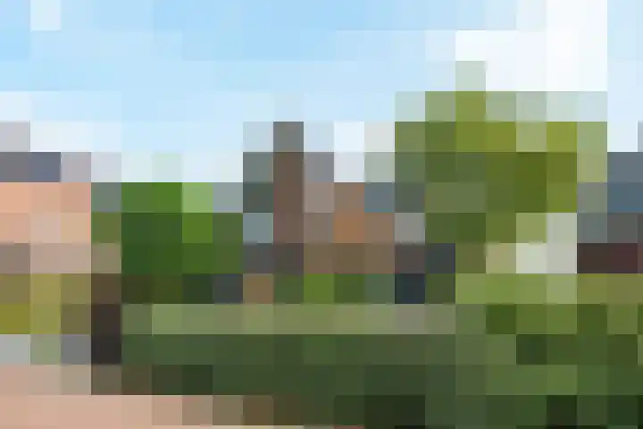 C.J. Blaauwstraat 22 Wageningen thumbnail 8