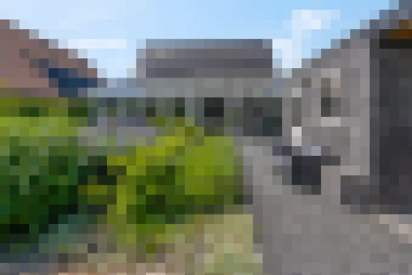 C.J. Blaauwstraat 26 Wageningen thumbnail 32