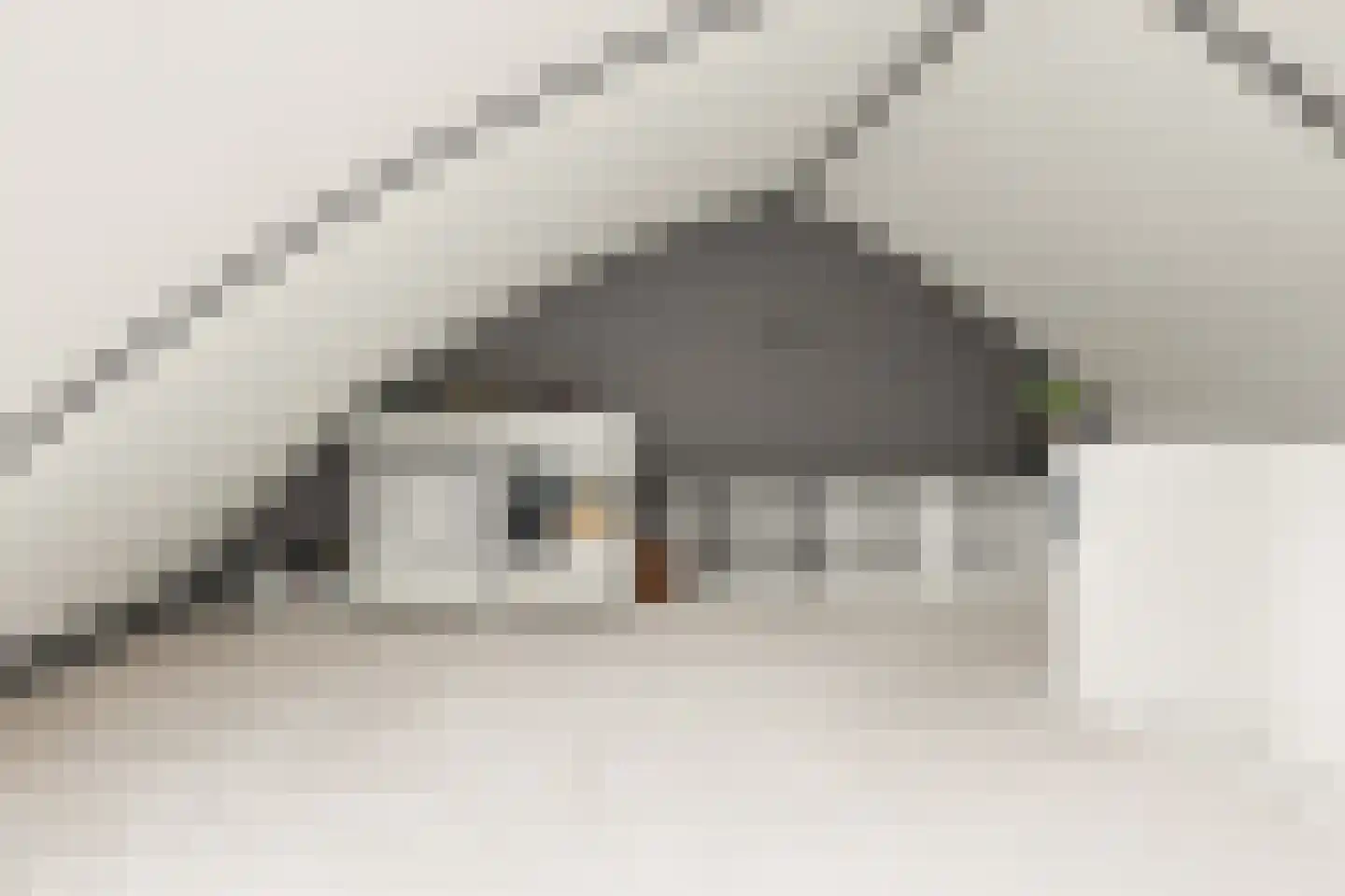 C.J. Blaauwstraat 32 Assendelft thumbnail 35