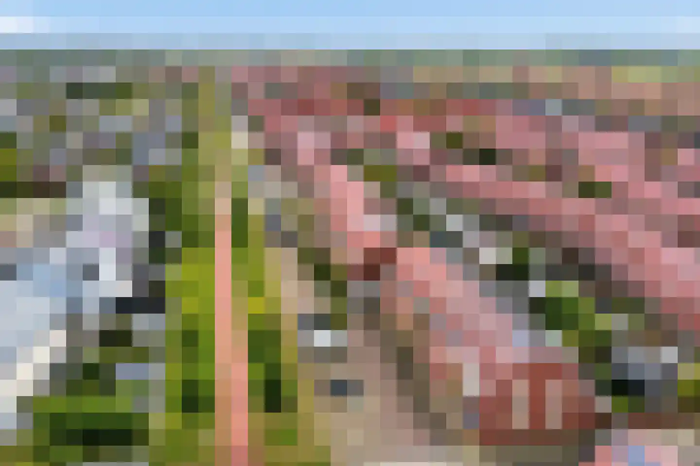 C.J. Blaauwstraat 32 Assendelft thumbnail 43