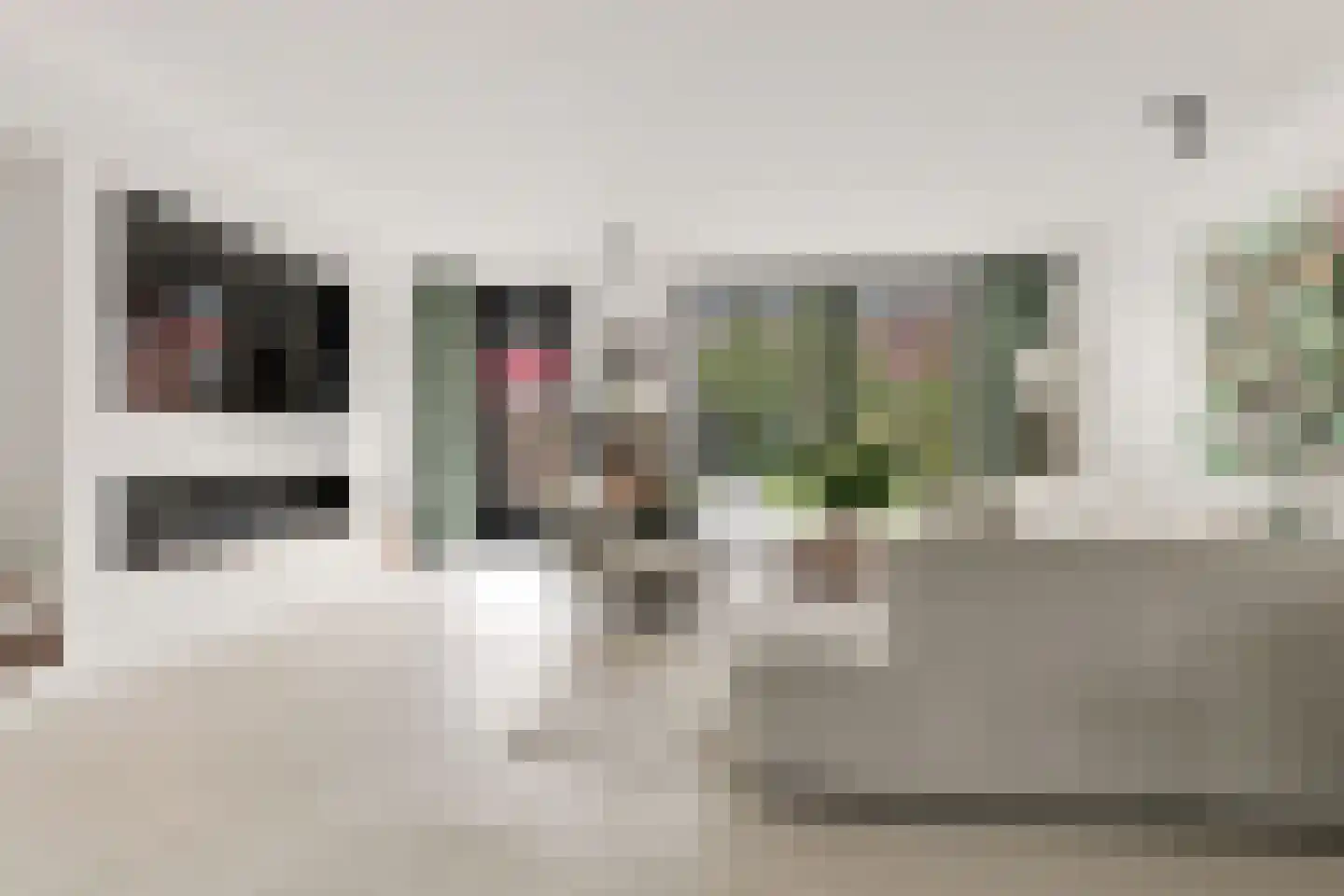 C.J. Blaauwstraat 32 Assendelft thumbnail 6