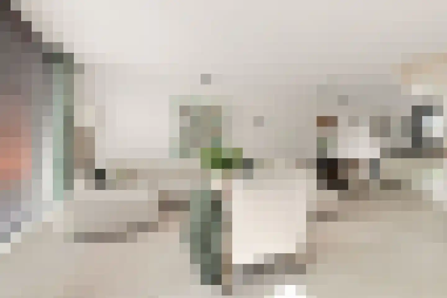 C.J. Blaauwstraat 32 Assendelft thumbnail 8