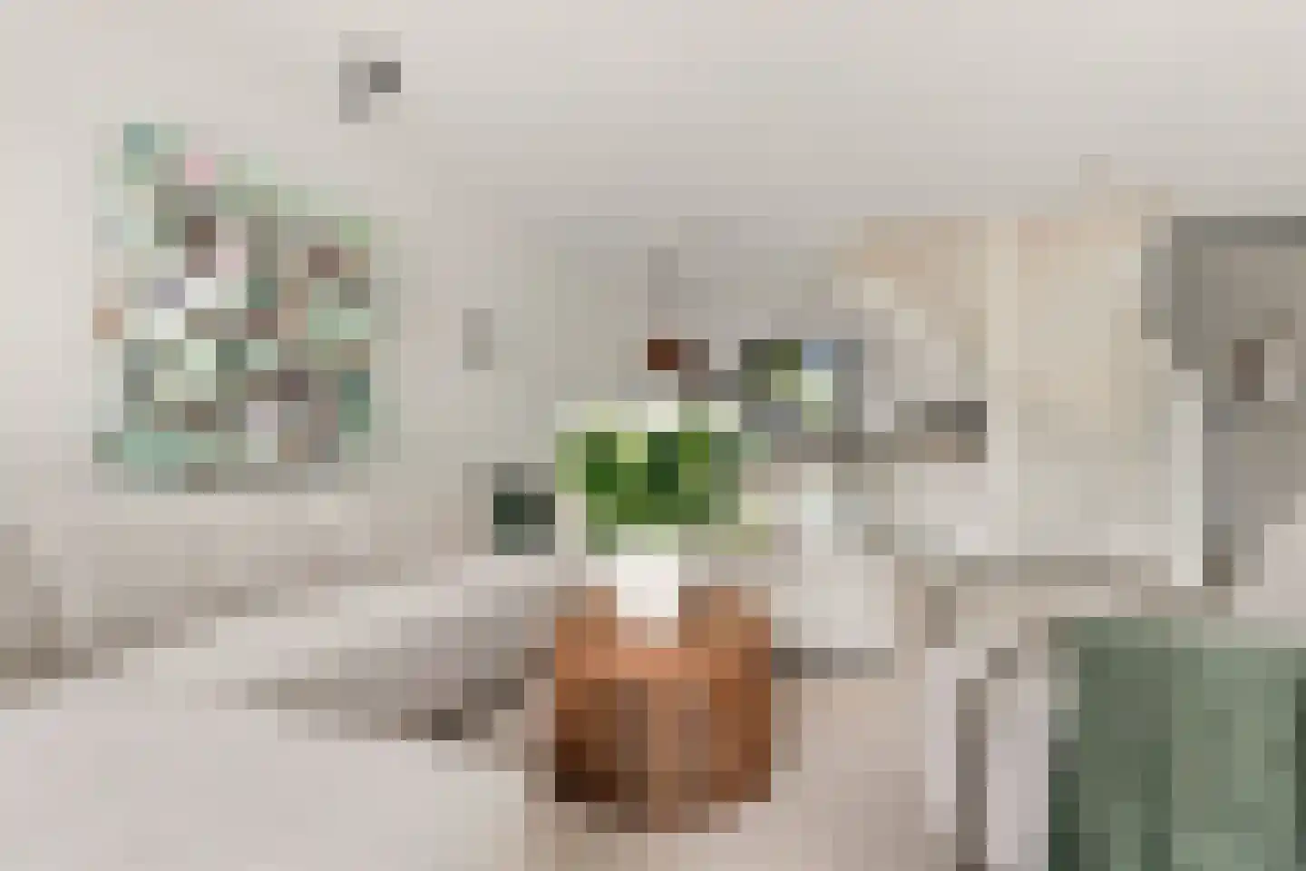 C.J. Blaauwstraat 32 Assendelft thumbnail 9